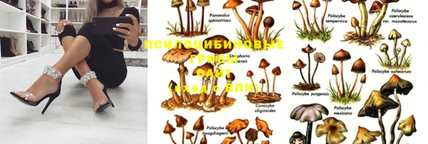 скорость Бородино