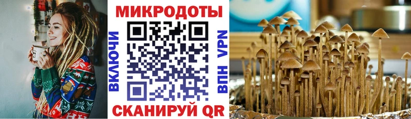 купить наркотики сайты  Волосово  Галлюциногенные грибы мицелий 